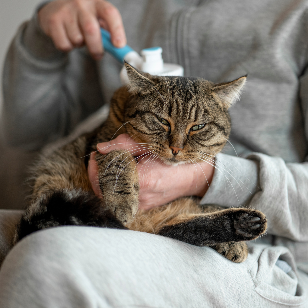 Ultimate Care Essentials