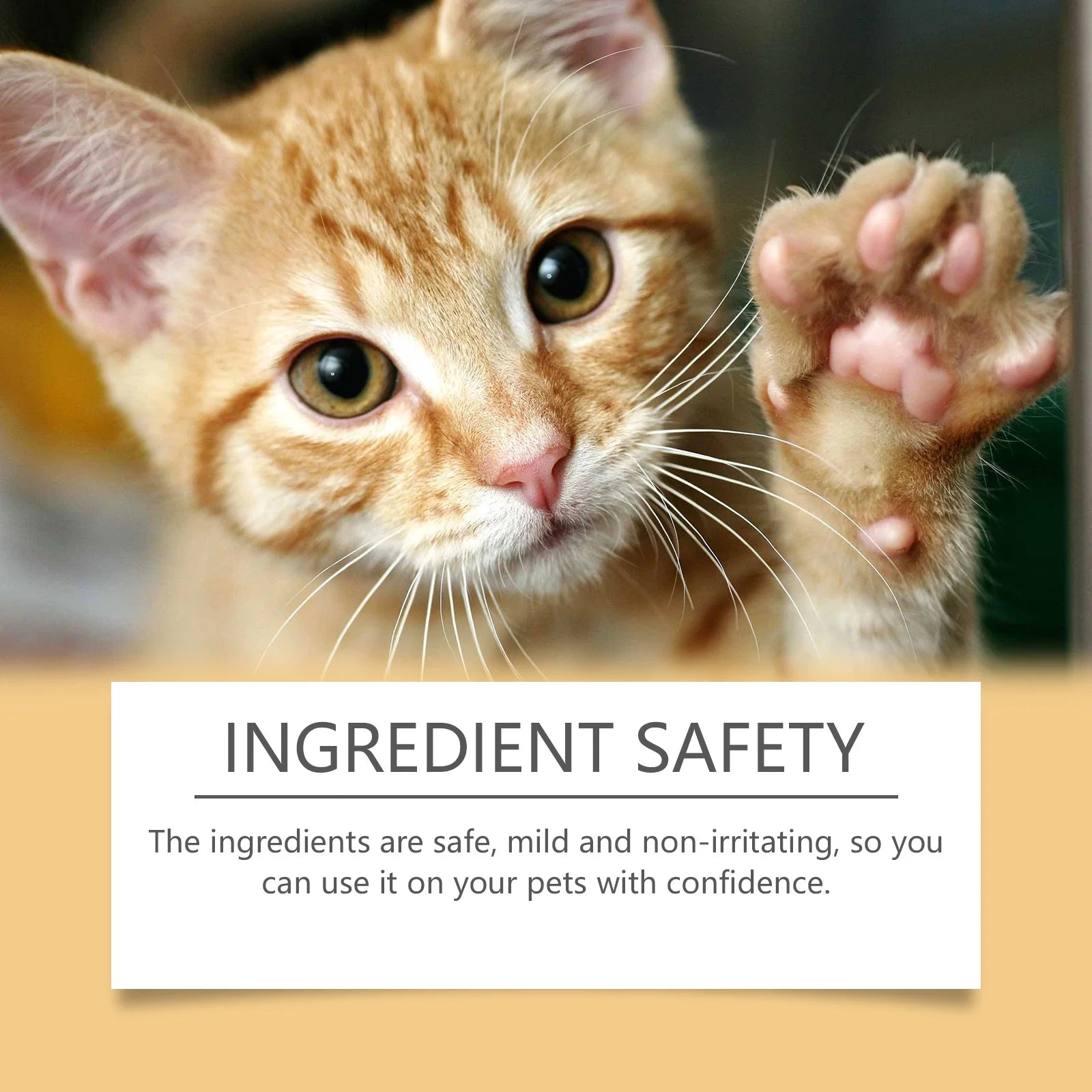 Pet Paw Balm Stick – Moisturizing Paw & Skin Care 40g