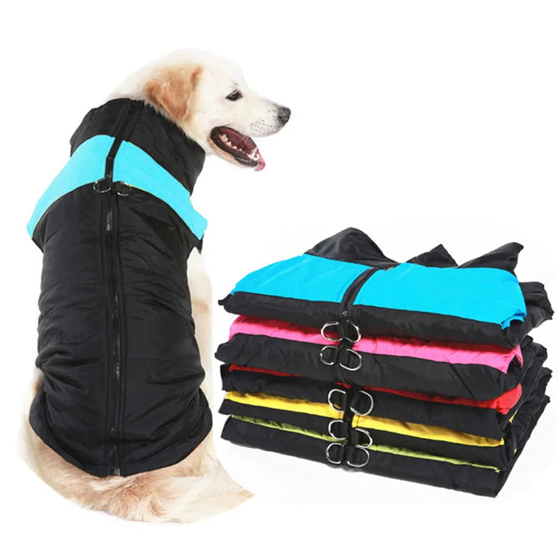 Waterproof Dog Winter Coat – Warm Jacket for Small to Large Dogs