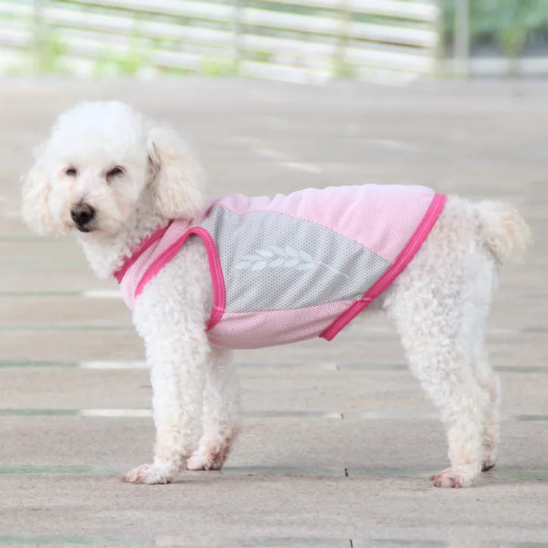 Pet Cooling Vest – Lightweight Summer Clothes for Dogs