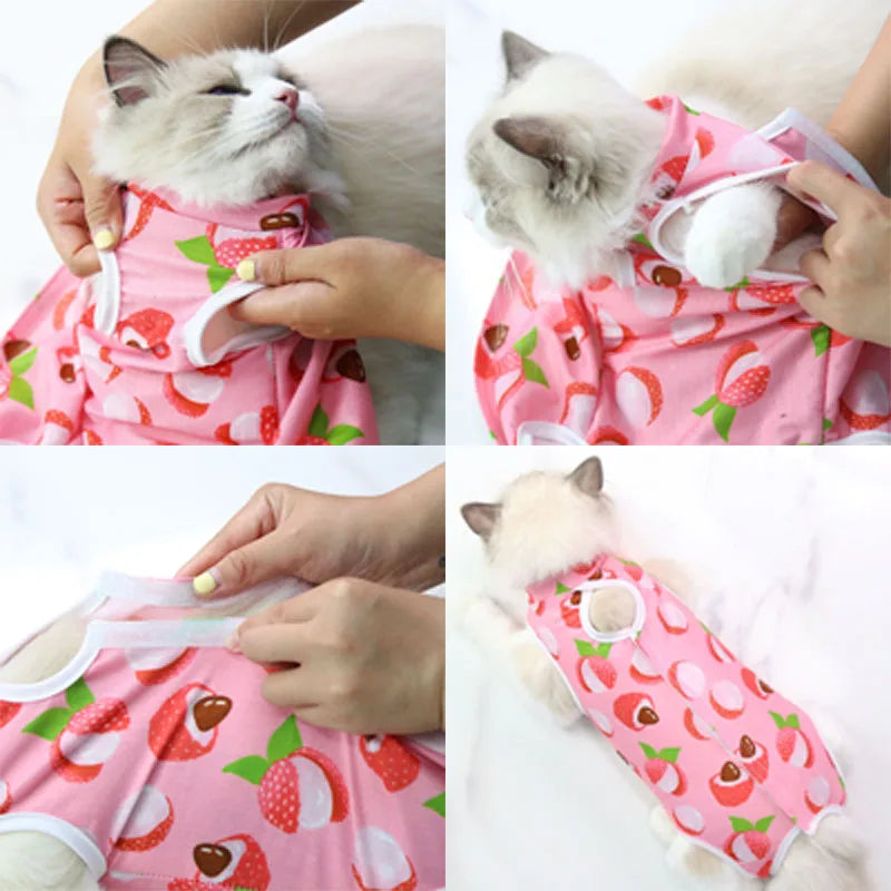 Cat Recovery Suit – Anti-Lick Surgery Clothes for Cats & Small Dogs