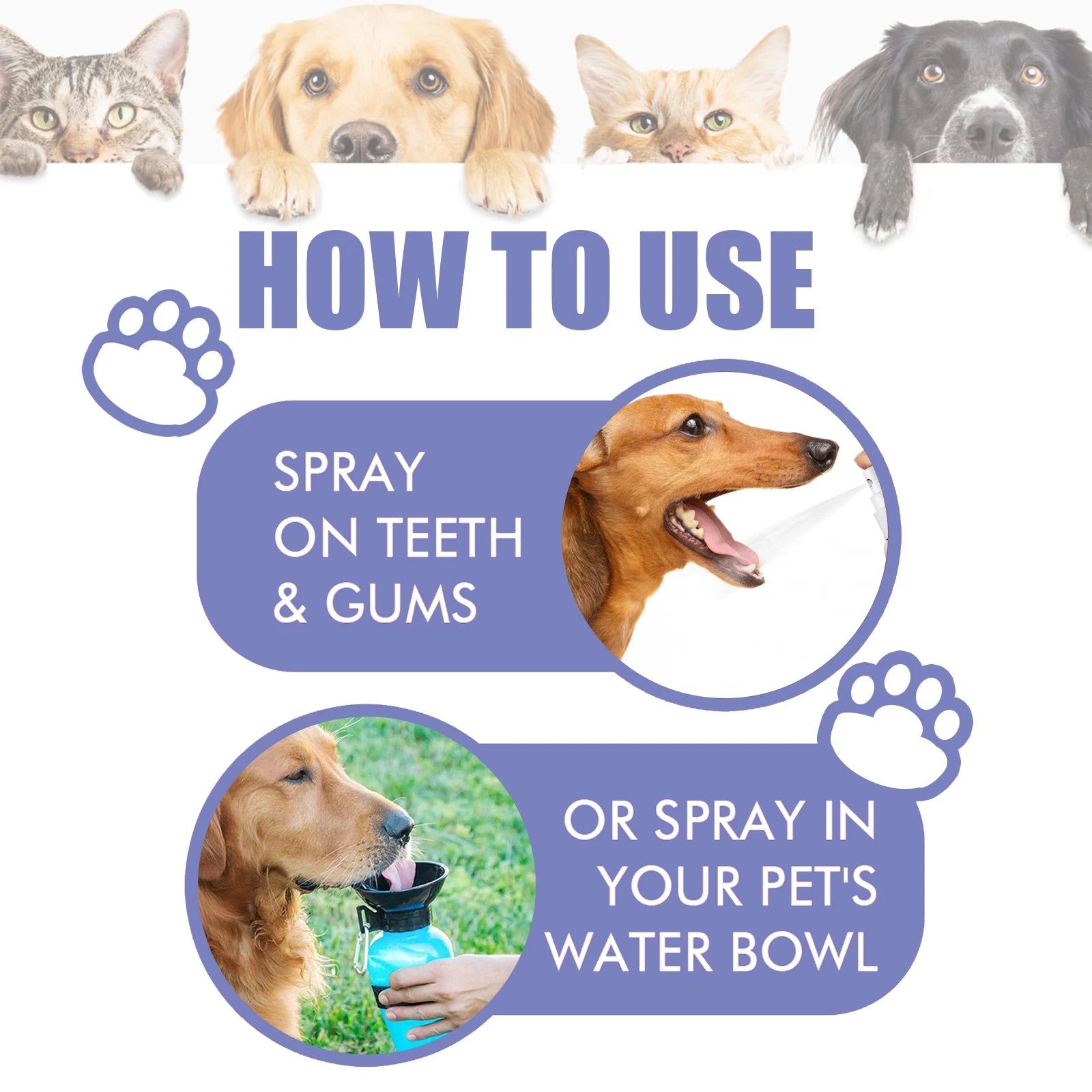 Pet Dental Spray – Fresh Breath & Tartar Remover for Dogs & Cats 30ml