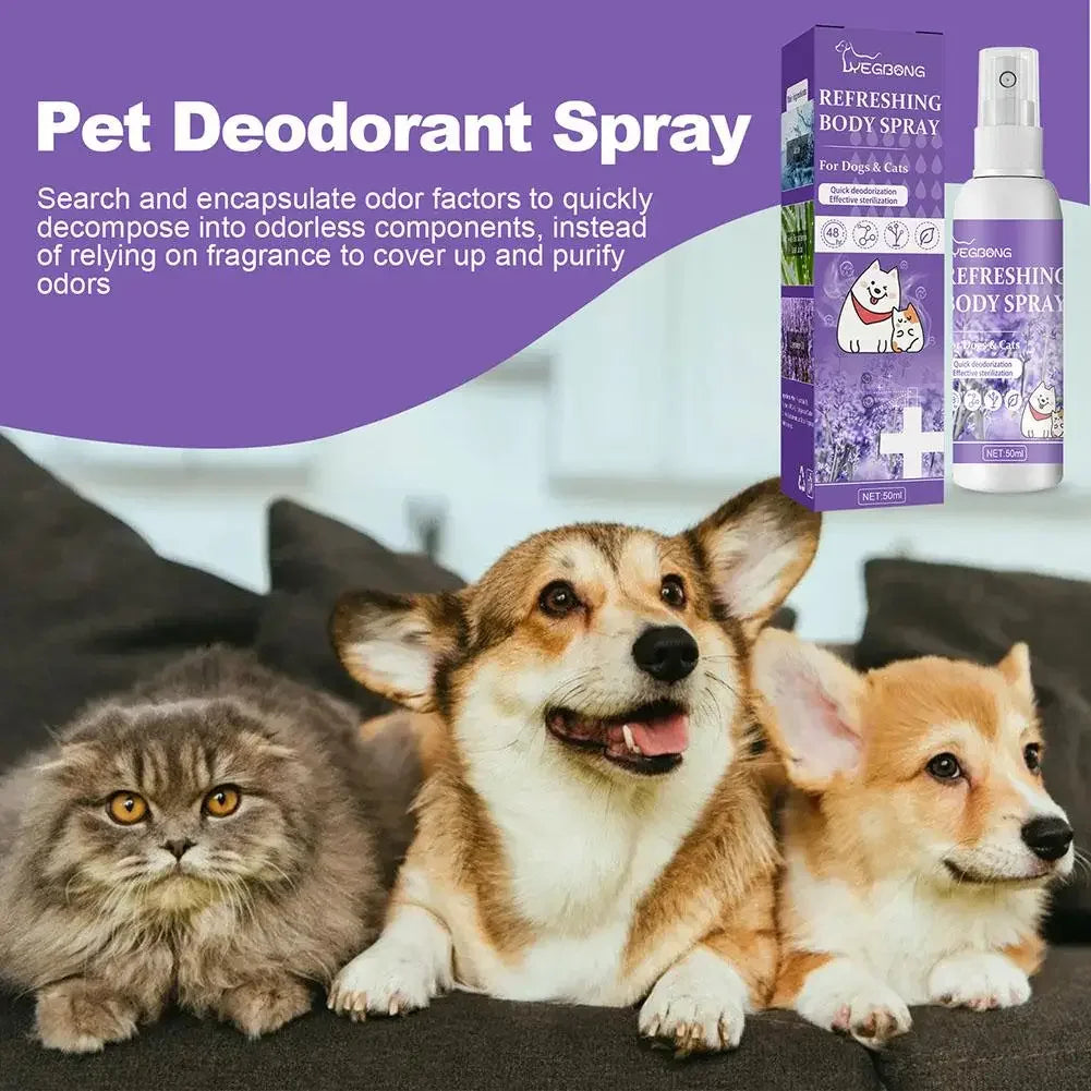 Lavender Dog Deodorizing Spray – Long-Lasting Pet Perfume