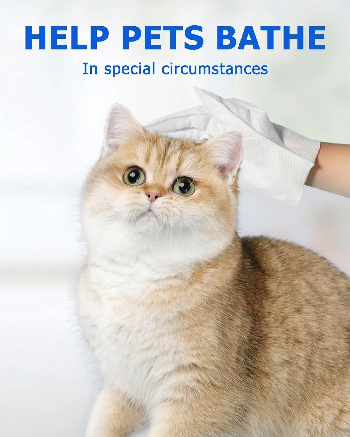 Pet Cleaning Wipes Gloves – Bathing & Deodorizing Wipes for Dogs & Cats