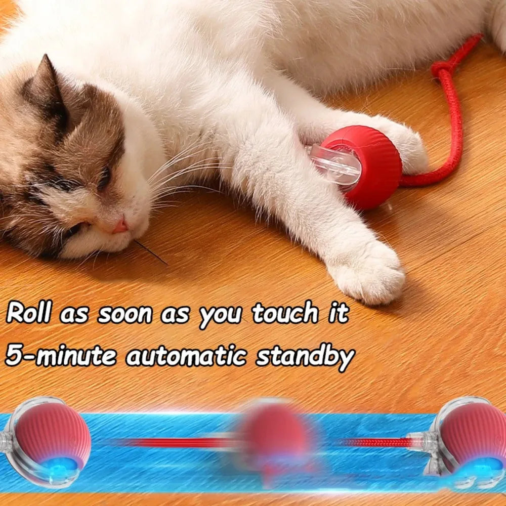 Smart Rolling Cat Toy – Electric Mouse Ball with Faux Tail