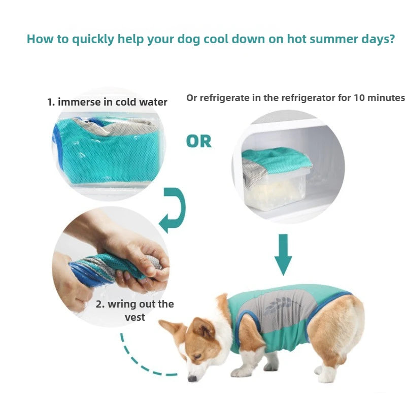 Pet Cooling Vest – Lightweight Summer Clothes for Dogs