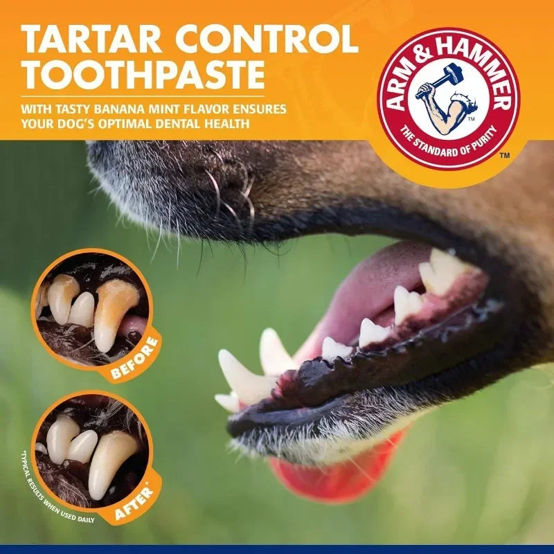 Pet Dental Care Kit – Toothbrush & Toothpaste Set for Dogs & Cats