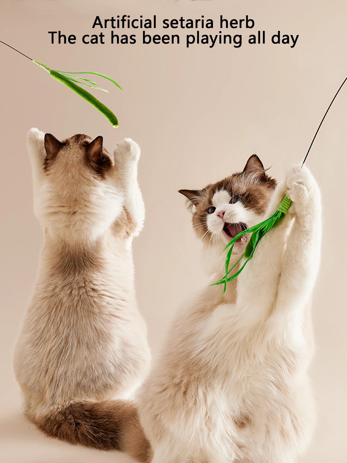 Kimpets Cat Teasing Stick – Feather & Tail Grass Toy