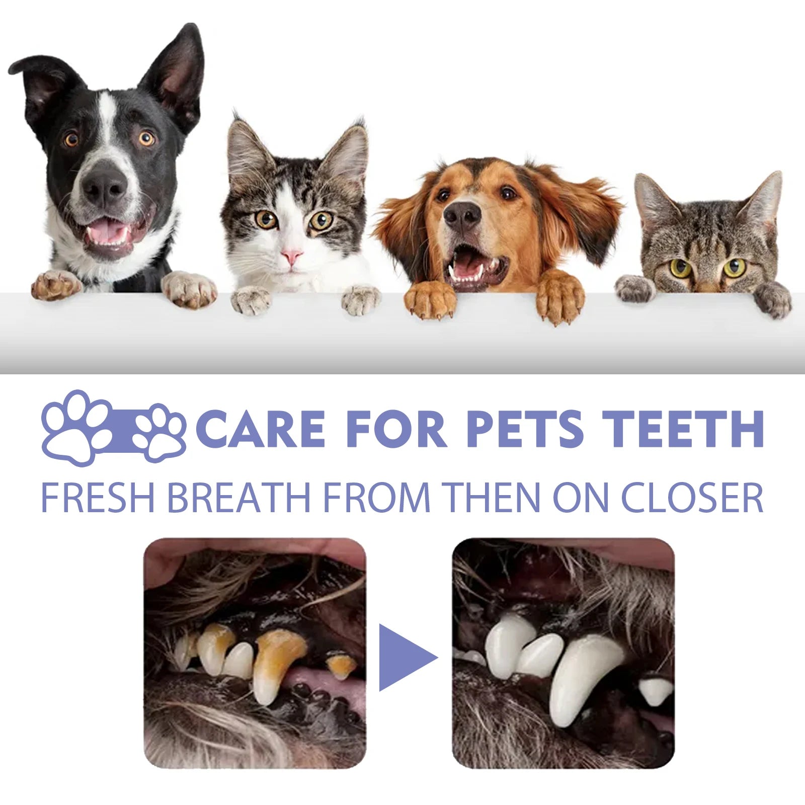 Pet Dental Spray – Fresh Breath & Tartar Remover for Dogs & Cats 30ml