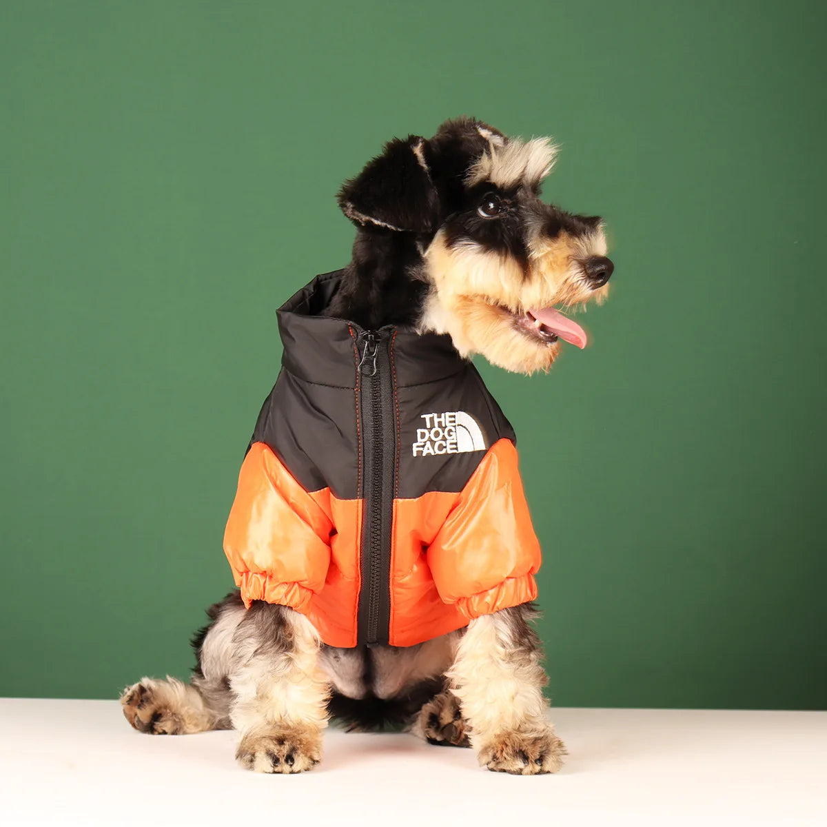 Winter Dog Jacket – Windproof Reflective Coat for Small & Medium Dogs