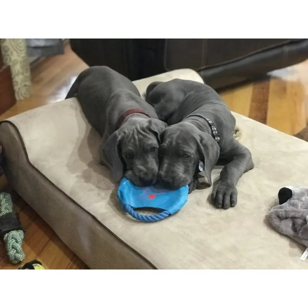 Orthopedic Memory Foam Dog Bed – Large Waterproof Washable Bed