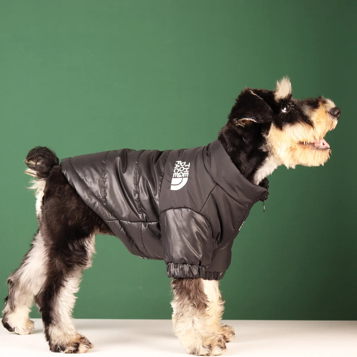 Winter Dog Jacket – Windproof Reflective Coat for Small & Medium Dogs