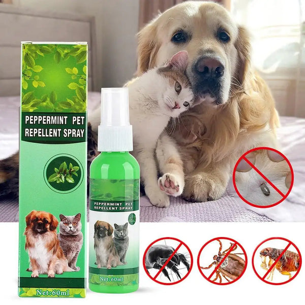 Pet Flea & Tick Killer Drops – 60ml Anti-Itch Skin Care for Dogs & Cats