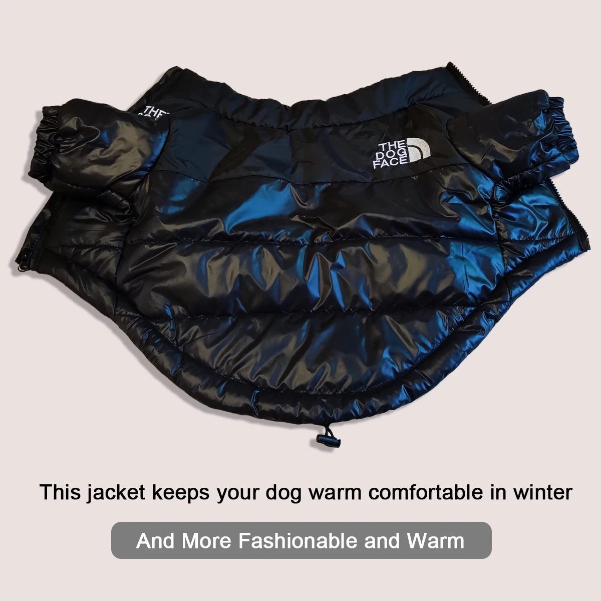 Winter Dog Jacket – Windproof Reflective Coat for Small & Medium Dogs