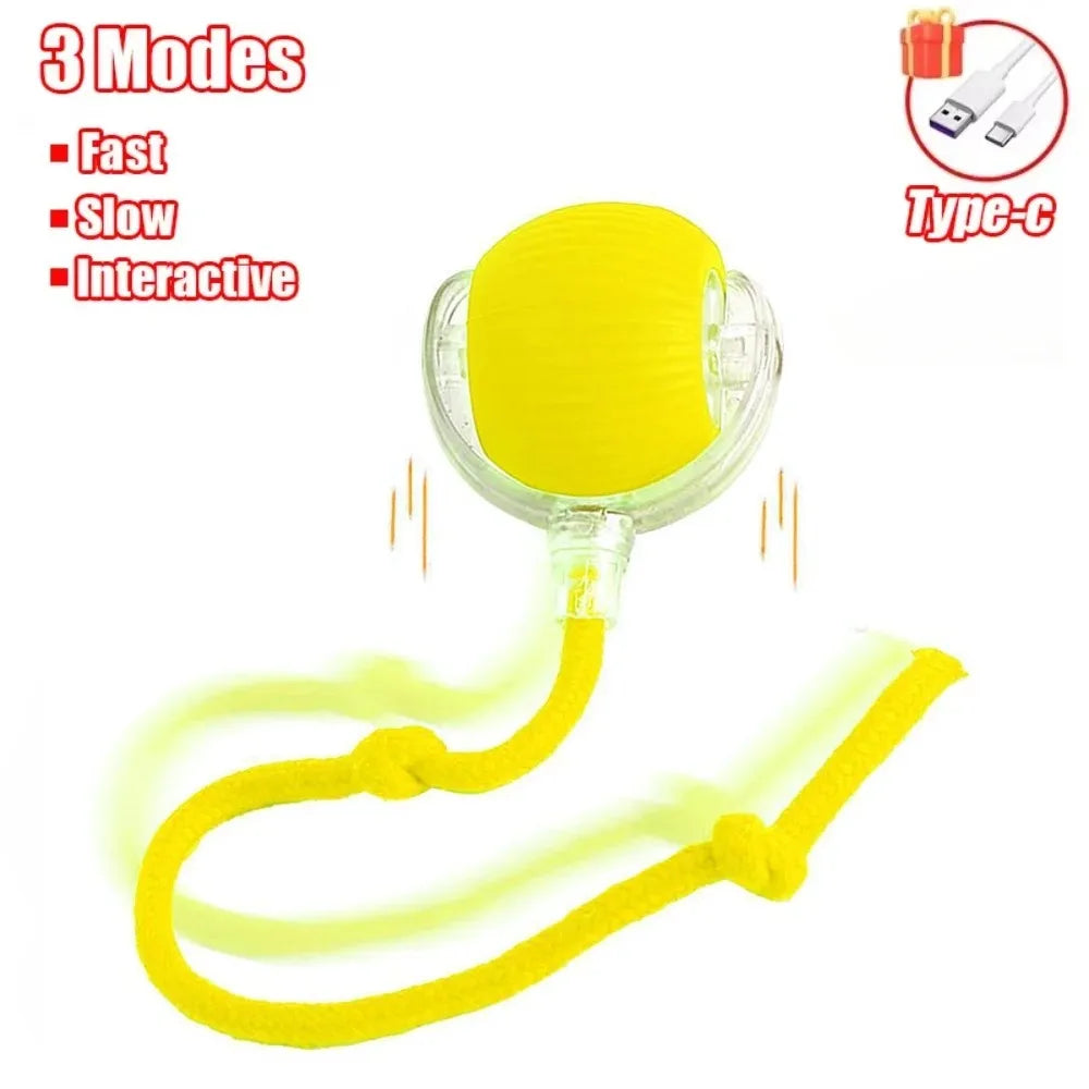 Smart Rolling Cat Toy – Electric Mouse Ball with Faux Tail