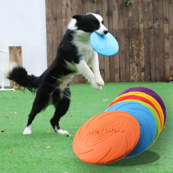 Bite-Resistant Dog Flying Disc – Outdoor Training Toy