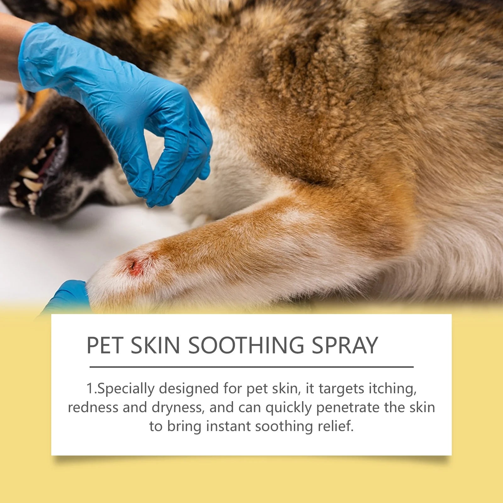 Pet Skin Care Spray – Flea & Itch Relief for Dogs and Cats