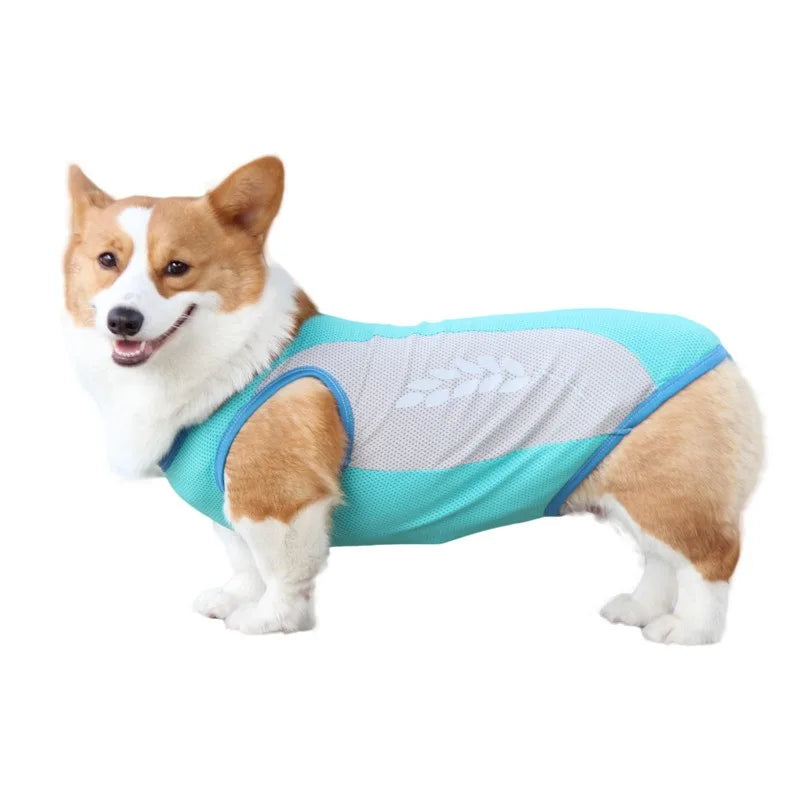 Pet Cooling Vest – Lightweight Summer Clothes for Dogs